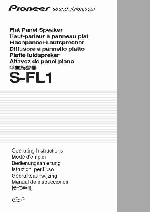 Pioneer Car Speaker S-FL1-page_pdf